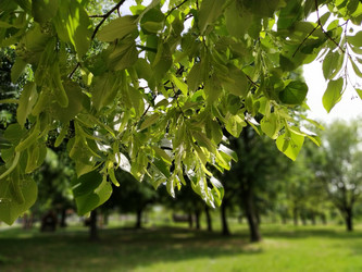 Similar image 21455469