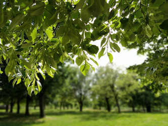 Similar image 21455471