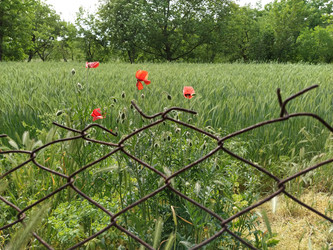 Similar image 21455477