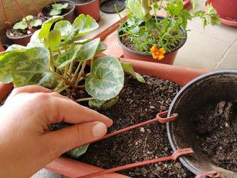 Similar image 21455483