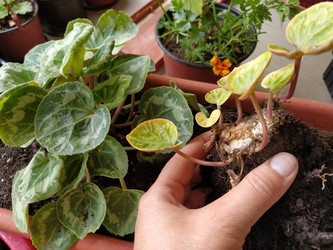 Similar image 21455485