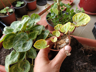 Similar image 21455487