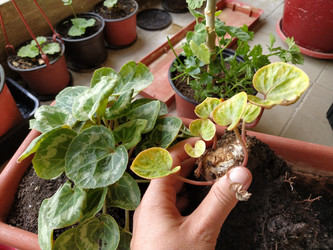 Similar image 21455489