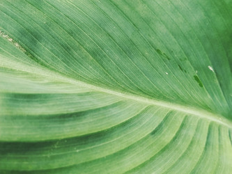 Similar image 21455491