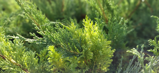 Similar image 21455492