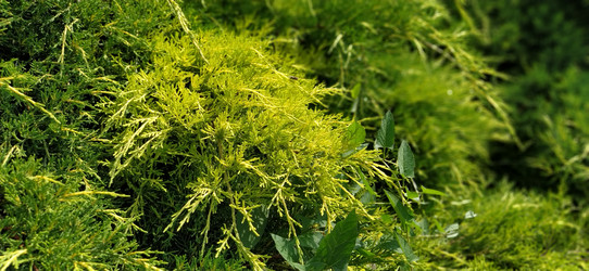 Similar image 21455714