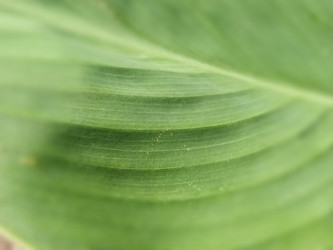 Similar image 21455715