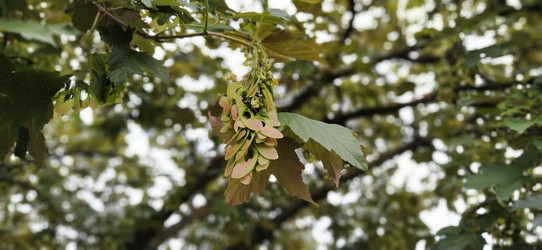 Similar image 21455716