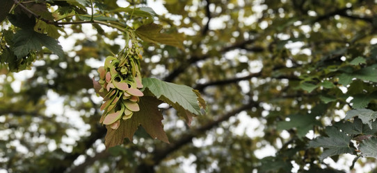 Similar image 21455717