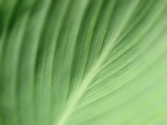 Similar image 21455718