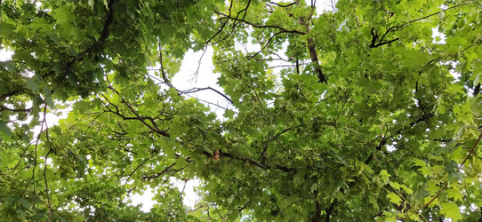 Similar image 21455719