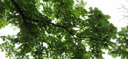 Similar image 21455720