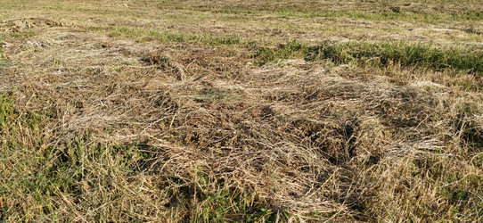 Similar image 21455724