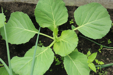 Similar image 21469914