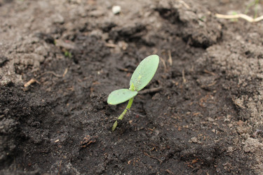 Similar image 21469915