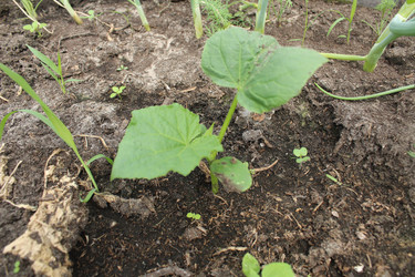 Similar image 21469916