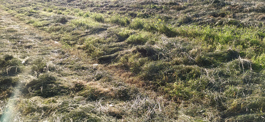 Similar image 21455728