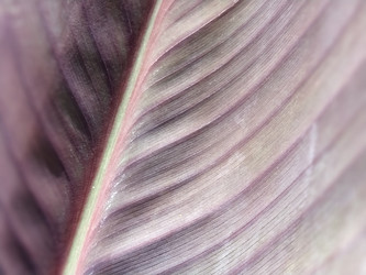 Similar image 21455730