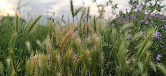 Similar image 21455843