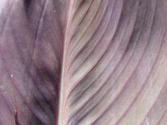 Similar image 21455846