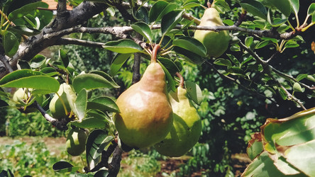 Similar image 21455852