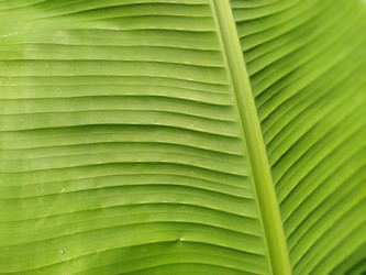 Similar image 21455855