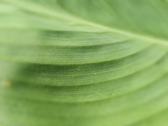 Similar image 21455860