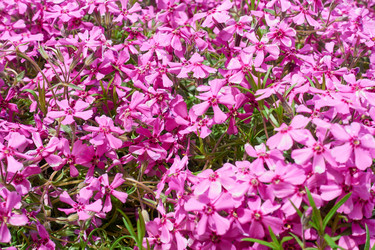 Similar image 21462301