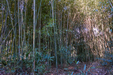 Similar image 21462316