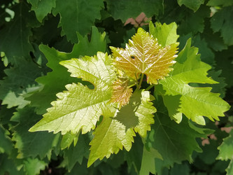 Similar image 21452269