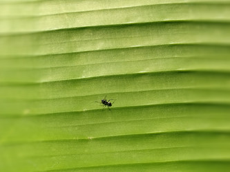 Similar image 21452270