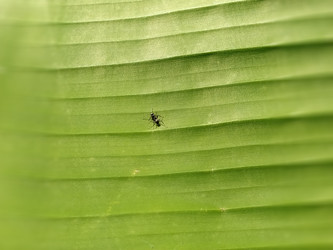 Similar image 21452271