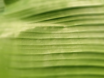 Similar image 21452274