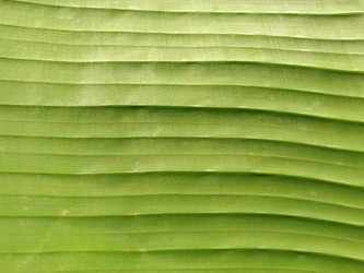 Similar image 21452276