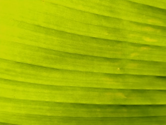 Similar image 21452277