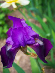 Similar image 21448760