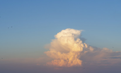 Similar image 21448766