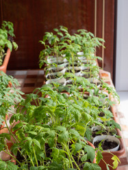 Similar image 21448768