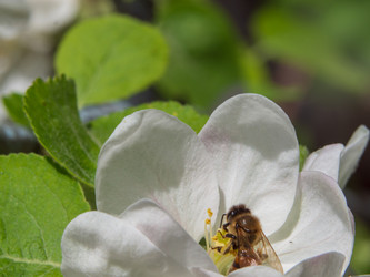 Similar image 21448769