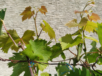 Similar image 21452814