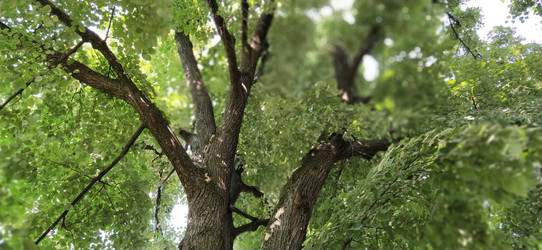 Similar image 21452816