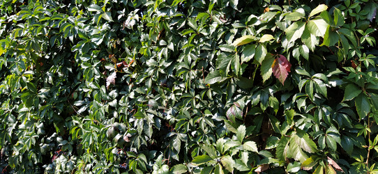 Similar image 21452821