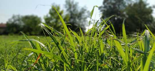 Similar image 21453335