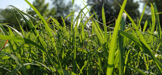 Similar image 21453336