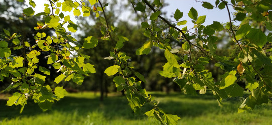 Similar image 21453343