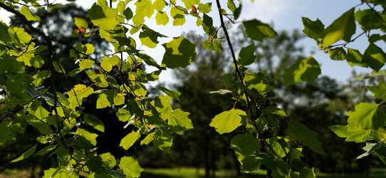 Similar image 21453347