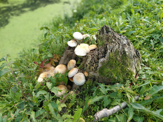 Similar image 21453349