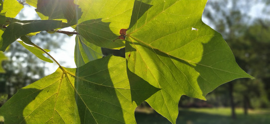 Similar image 21453350