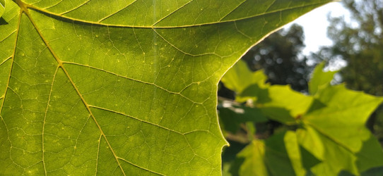 Similar image 21453353