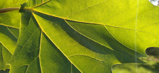 Similar image 21453354